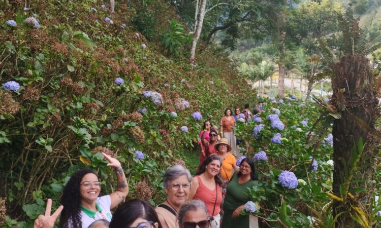 imagem não encontrada