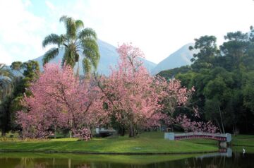 Parque São Clemente – Nova Friburgo Country Clube