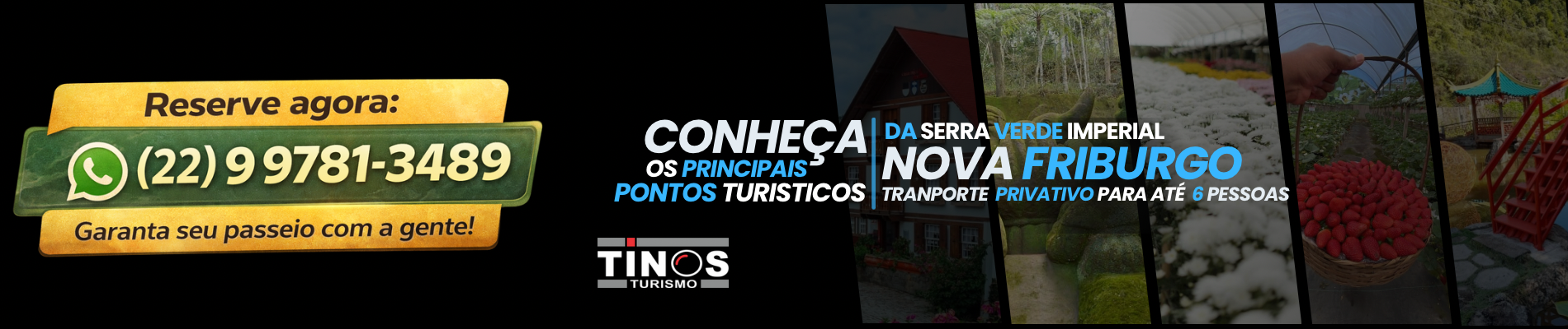 Tinos Tur