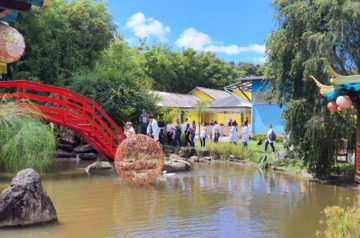 Apiário Amigos da Terra: um passeio encantador entre o mel, a natureza e o Jardim chinês de Nova Friburgo