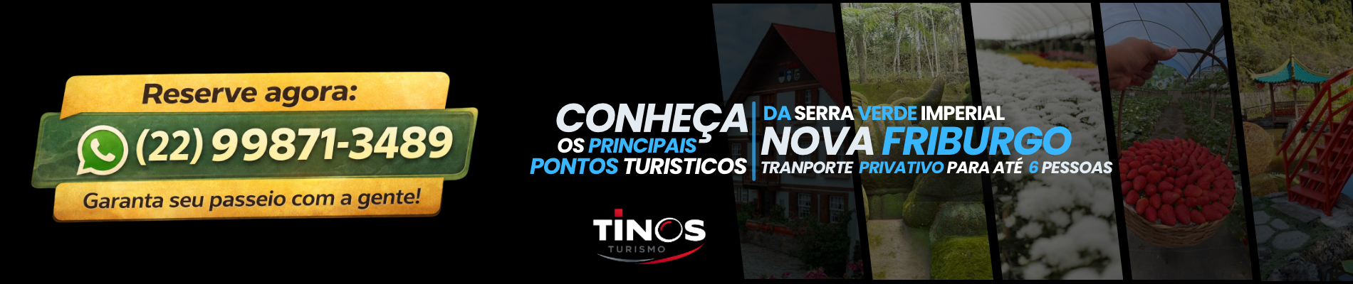 Tinos Tur